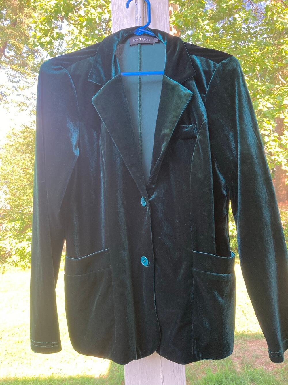 Mint Limit - Dark Academia/Classic/Preppy Hunter Green Soft Velvet Blazer - S